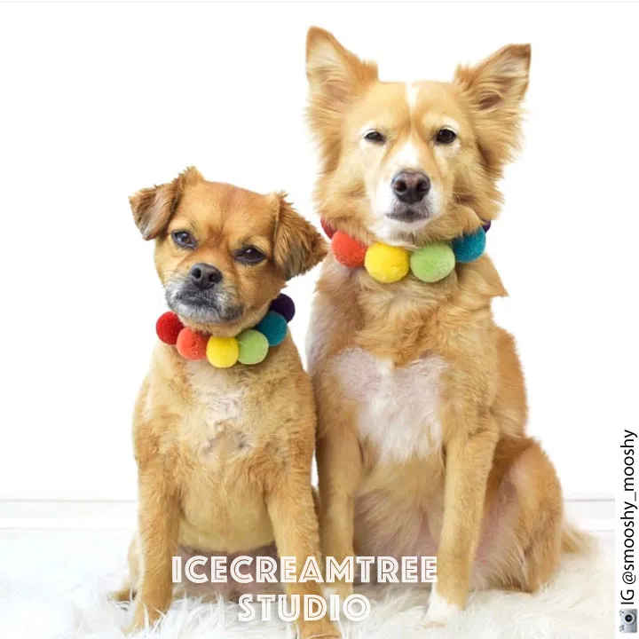 Blue Yellow PomPom Necklace - Elastic Pet Collar