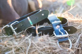 Dog Collar PVC 32mm x 55cm - Black