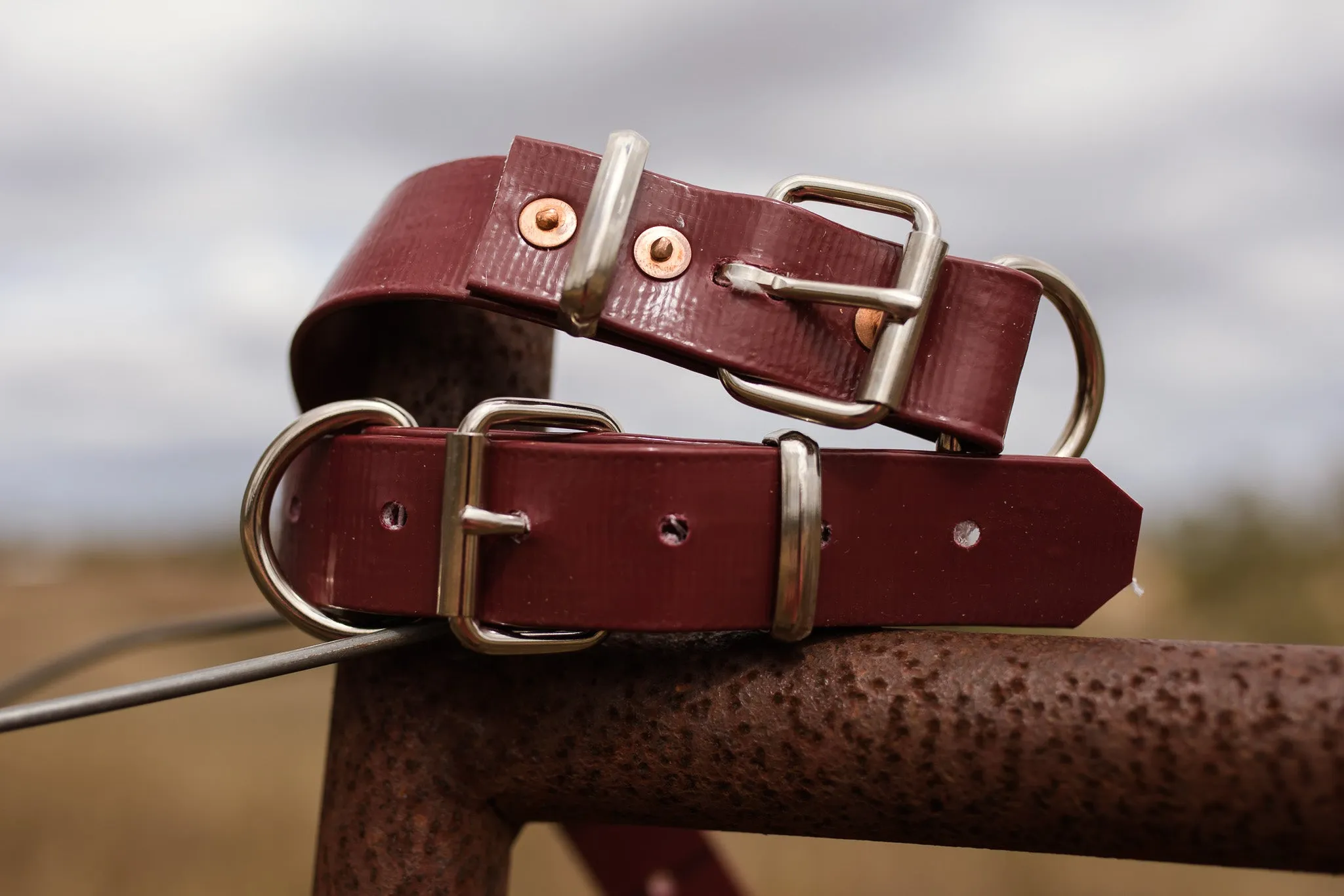 Dog Collar PVC 32mm x 55cm - Maroon