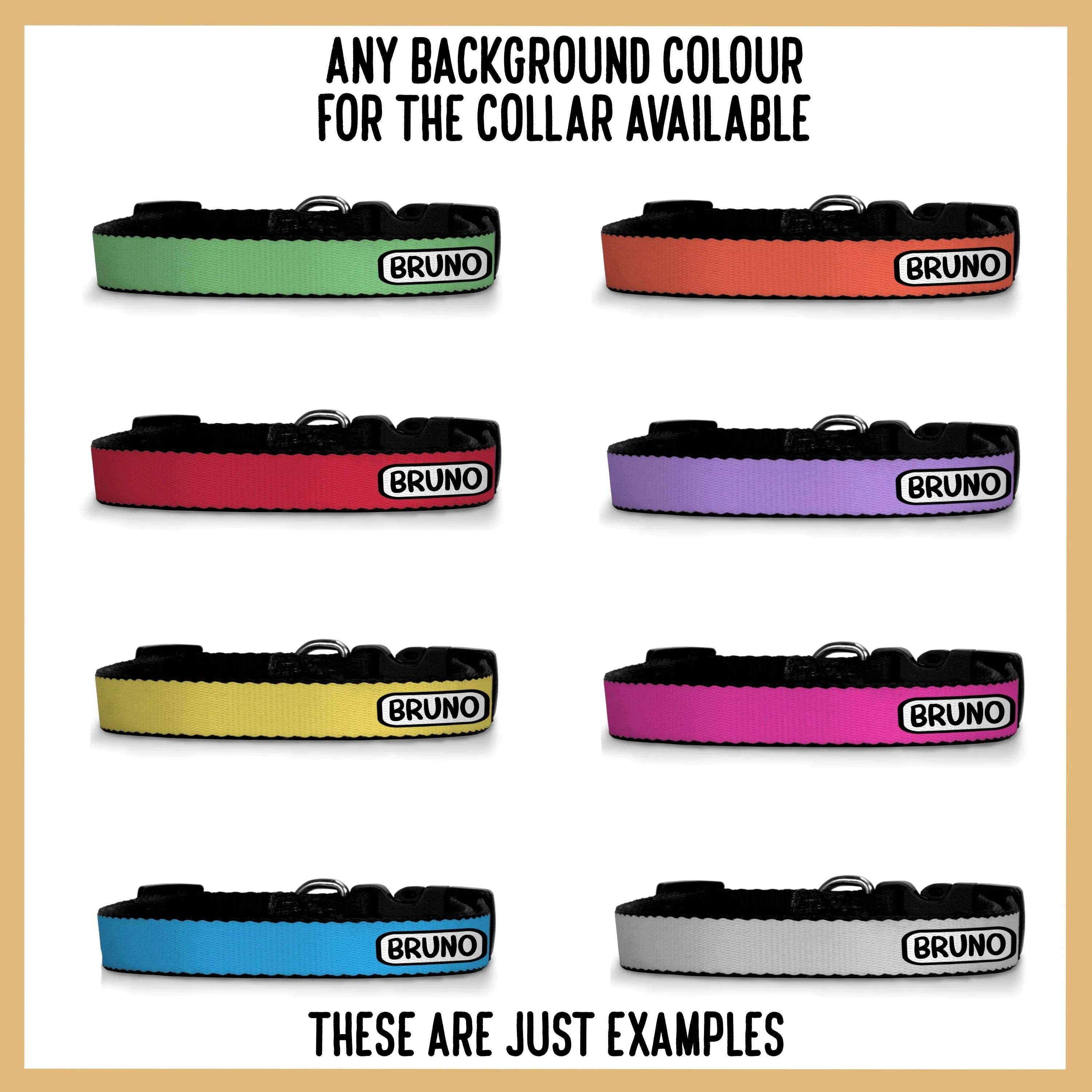 English Pointer Dog Collar