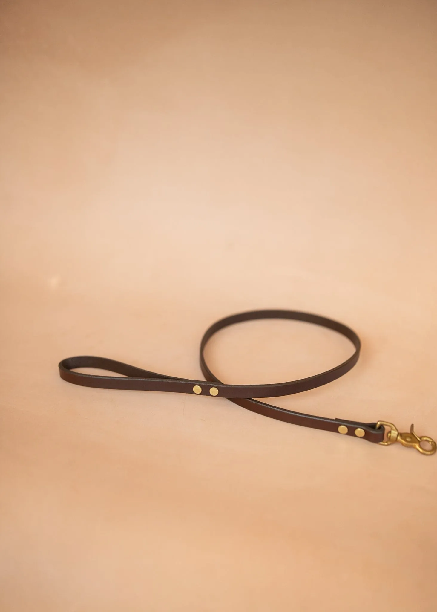 Narrow Dog Leash 15mm - Burgundy