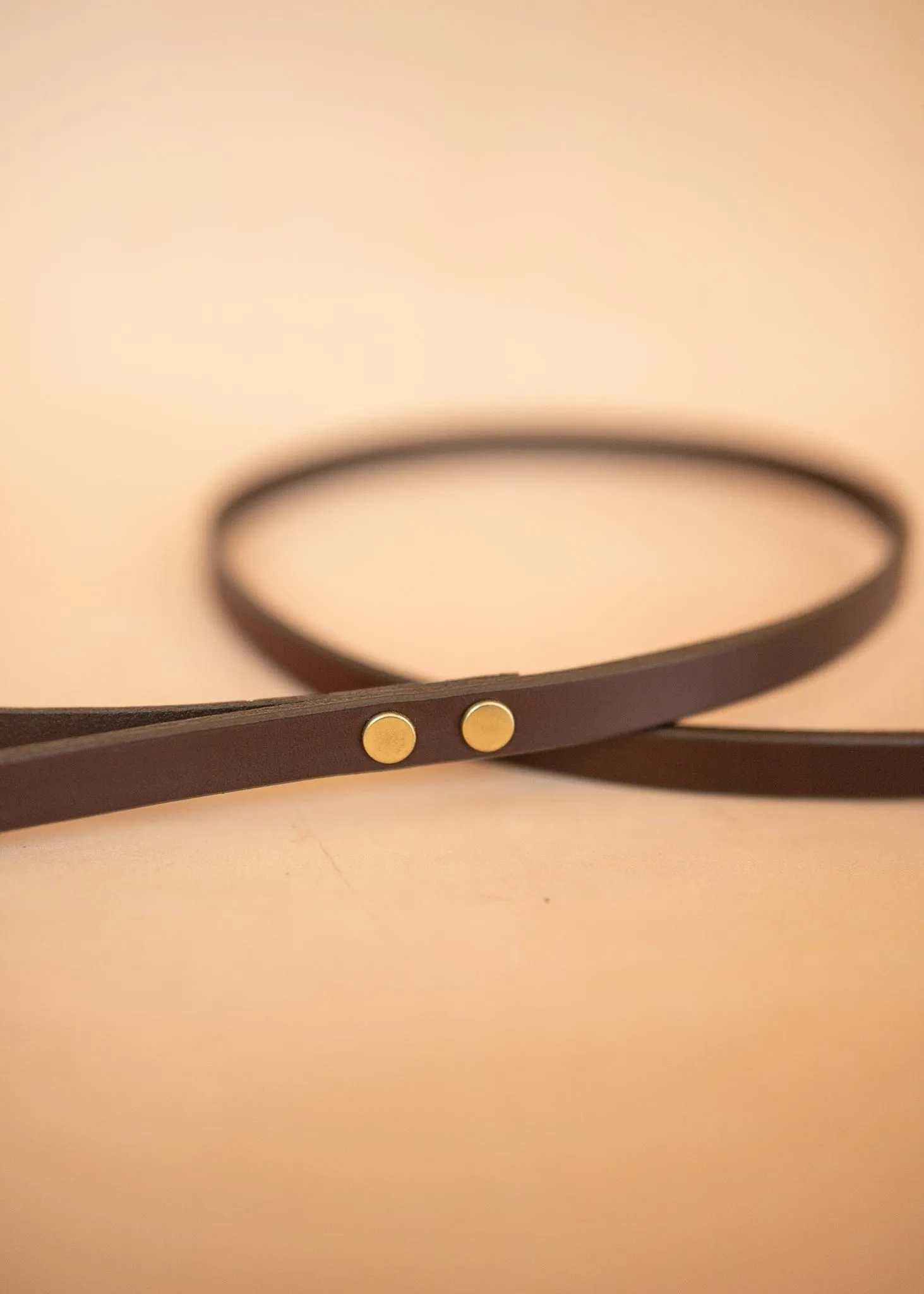Narrow Dog Leash 15mm - Burgundy