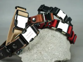 Quick Release Dog Collar in 5 Leather Colors and Hybrid Buckle