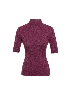Wool Blended Purple Ting Melange Sweater